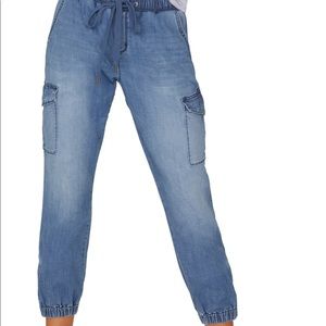 Sanctuary troop denim jogger